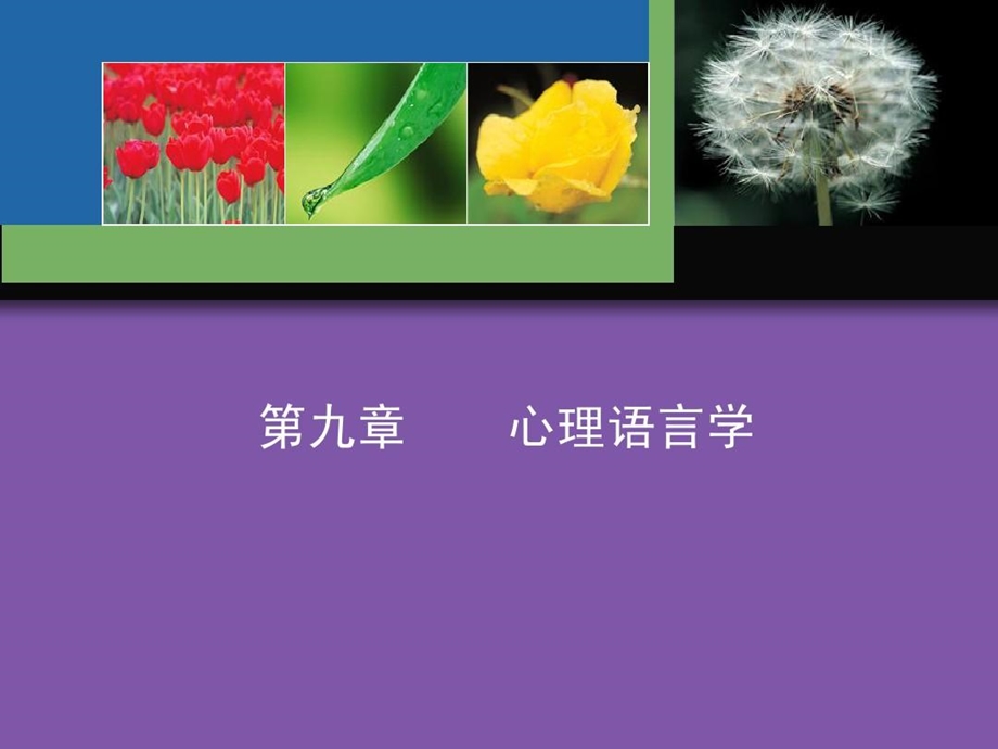 实验心理学心理语言学课件.ppt_第2页