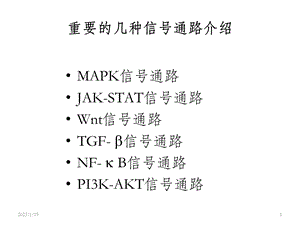 常见信号通路课件.ppt