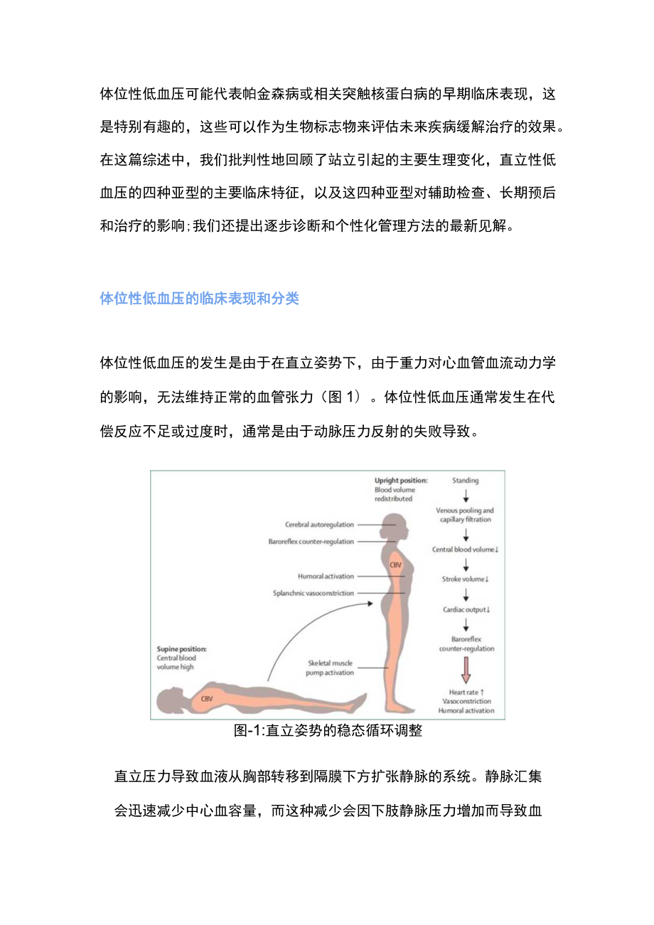 2022体位性低血压的诊断和治疗（全文）.docx_第2页