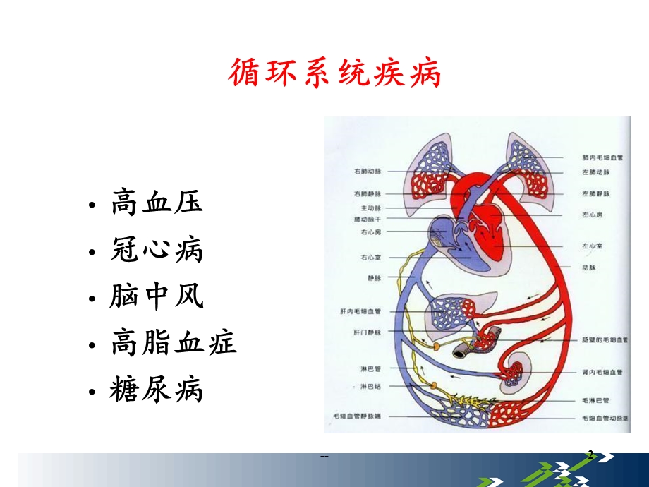 医学知识课件.ppt_第2页