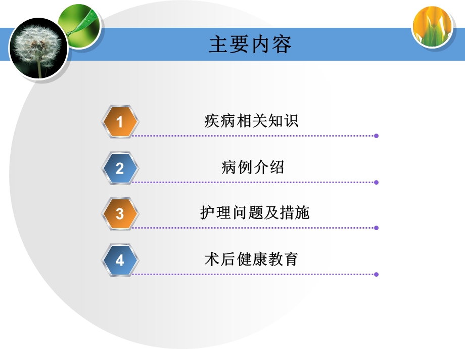 慢性扁桃体炎护理查房课件.pptx_第3页