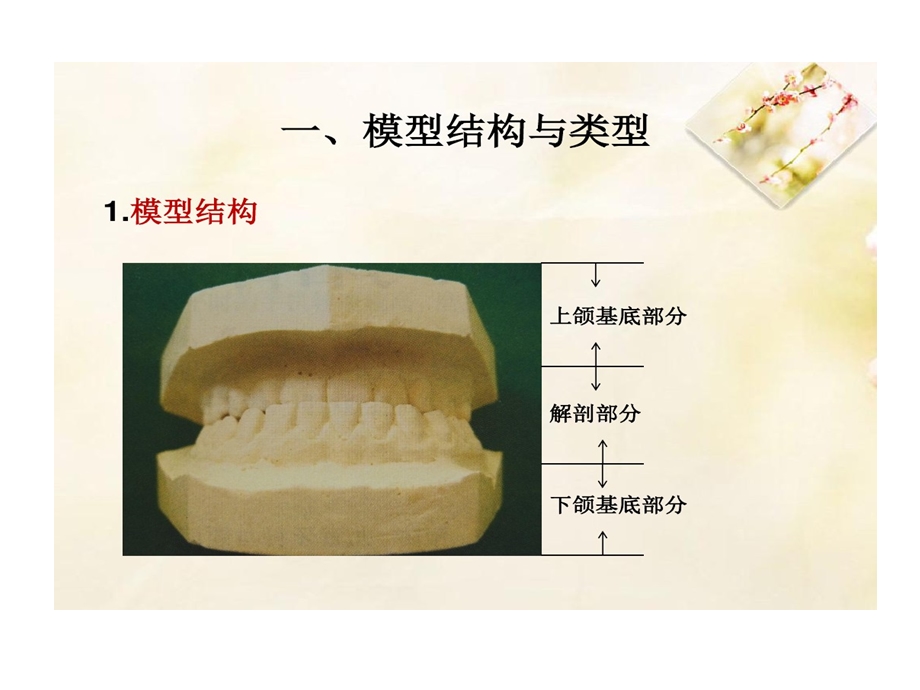 印模制取和石膏模型灌注课件.ppt_第2页