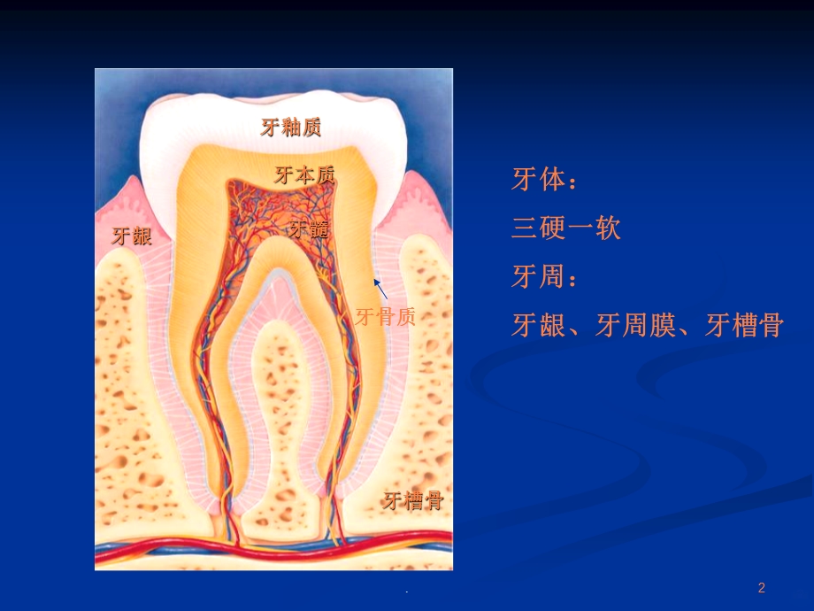 口腔常见病课件.ppt_第2页