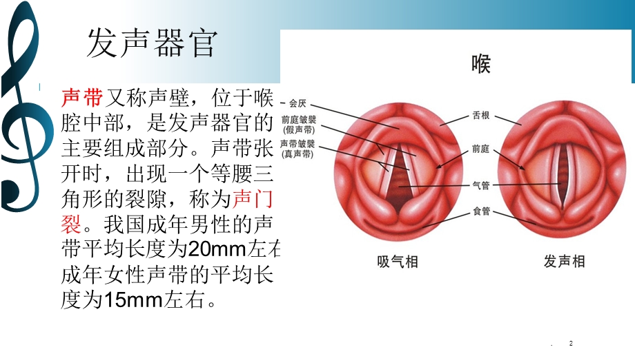 如何保护嗓子课件.pptx_第2页