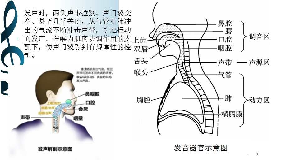 如何保护嗓子课件.pptx_第3页