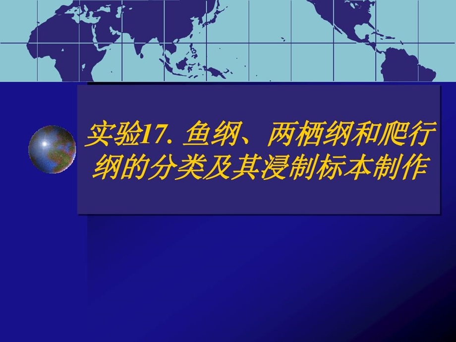 实验鱼纲两栖纲和爬行纲的分类及其浸制标本制作总结课件.ppt_第2页