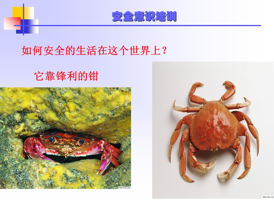 安全意识培训课件.ppt_第3页