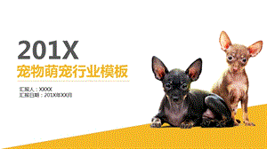 宠物行业通用PPT模板课件.pptx