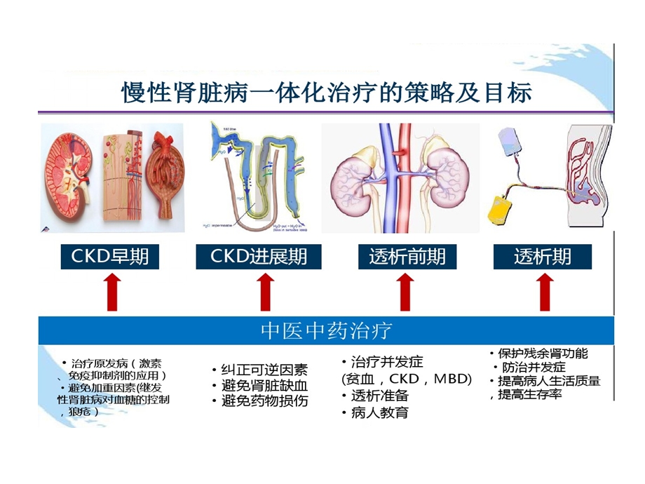 慢性肾衰竭CKD中西医结合治疗方案优化课件.ppt_第3页