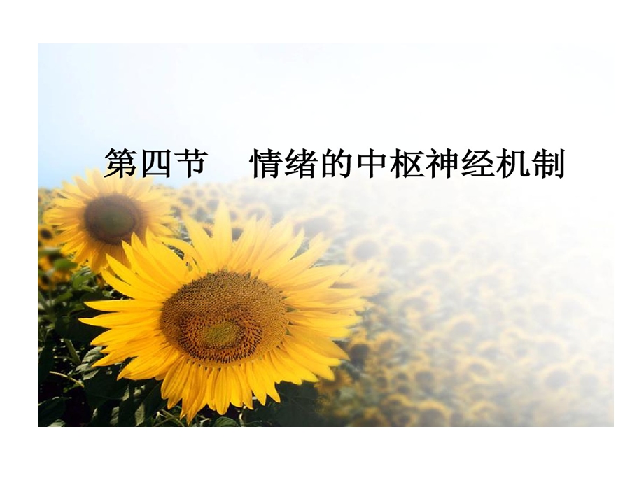 情绪中枢神经机制课件.ppt_第1页