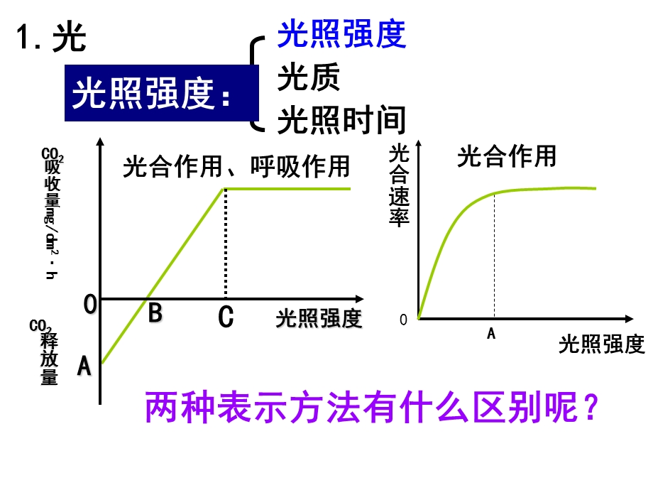 影响光合作用的因素及应用讲课教案课件.ppt_第2页