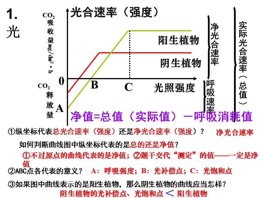 影响光合作用的因素及应用讲课教案课件.ppt_第3页