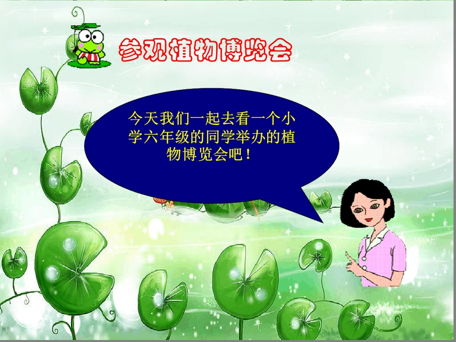 冀教版六年级科学上册植物博览会ppt课件.ppt_第3页