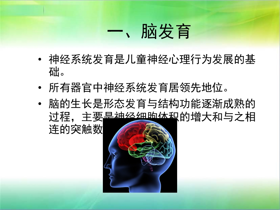 婴幼儿神经系统发育与检查方法课件.ppt_第2页