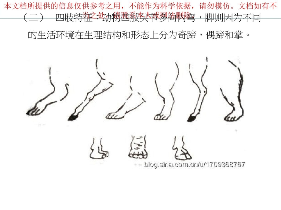 动物简笔画专题知识专业知识讲座课件.ppt_第3页