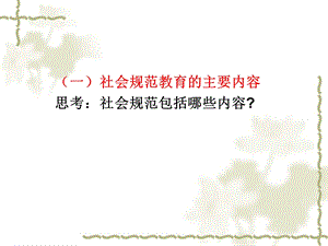 幼儿园社会规范活动的设计课件.ppt