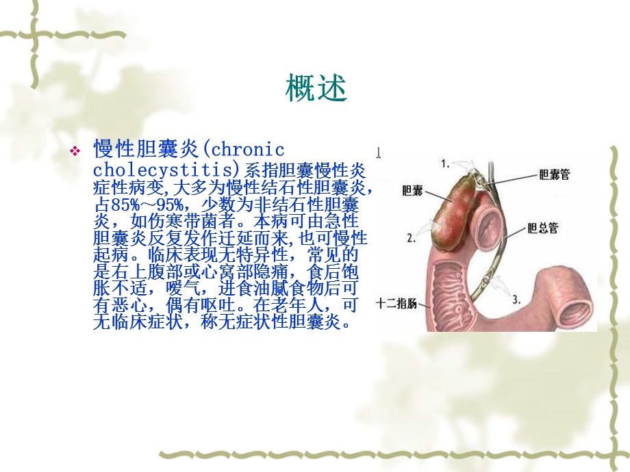 慢性胆囊炎患者的护理查房课件.pptx_第1页