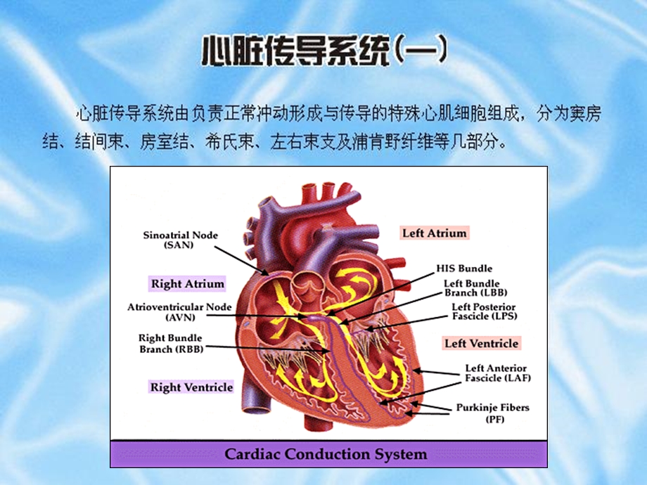 心律失常的诊断课件.ppt_第3页