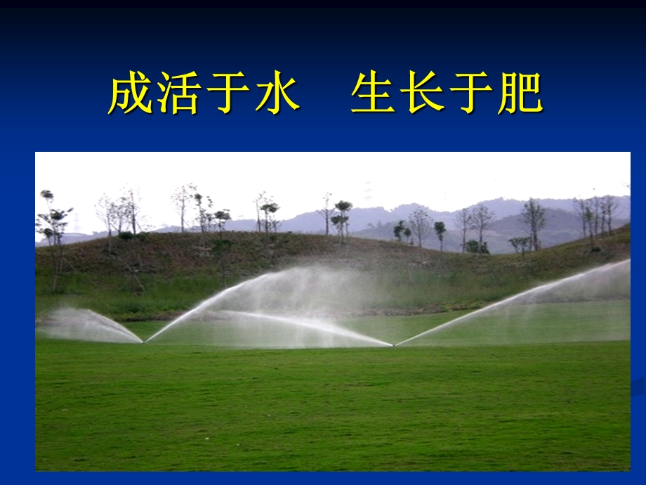 园林植物浇水课件.ppt_第2页