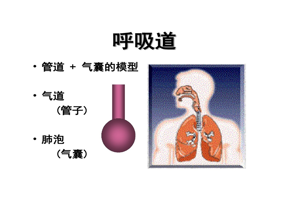 呼吸力学监测课件.ppt_第2页