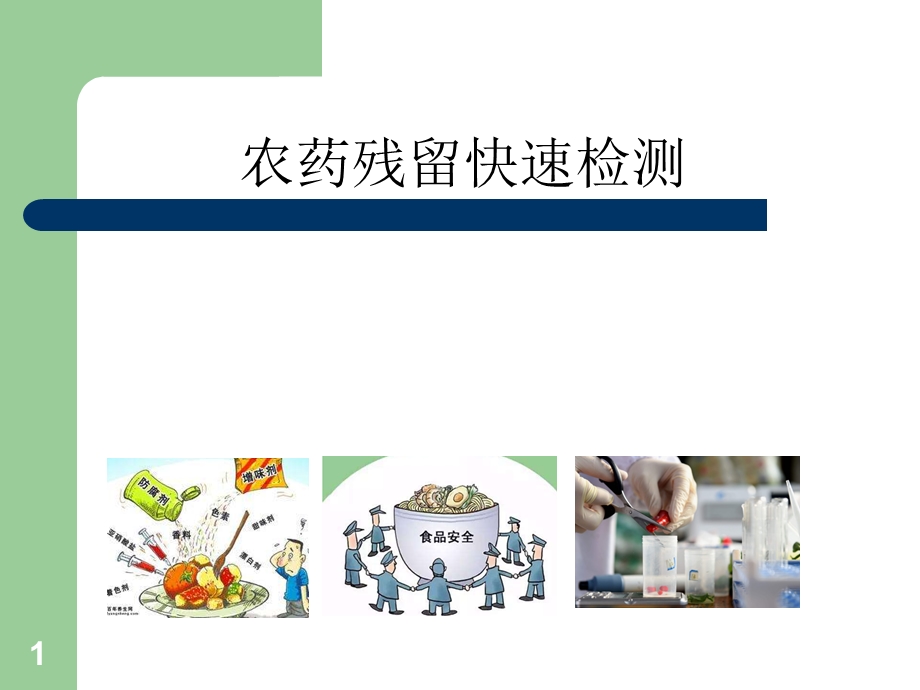 农残快检课件.ppt_第1页