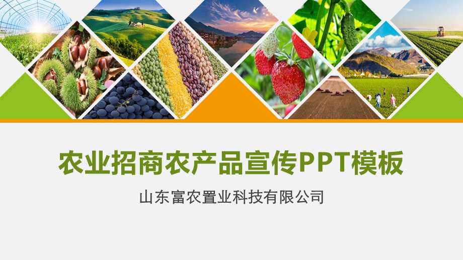 农业招商农场品宣传PPT模板课件.pptx_第1页