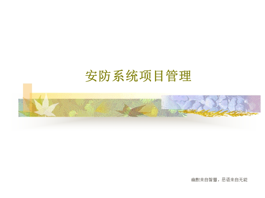 安防系统项目管理课件.ppt_第1页