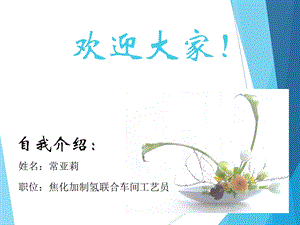 制氢工艺简介课件.ppt