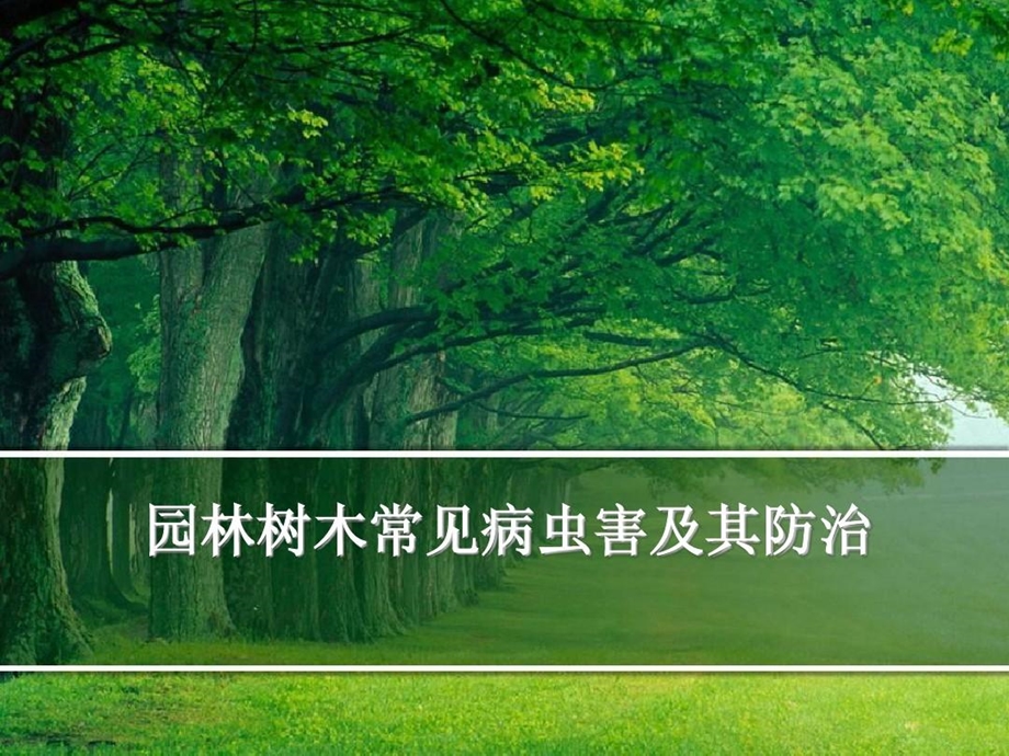 园林树木病虫害防治课件.ppt_第2页