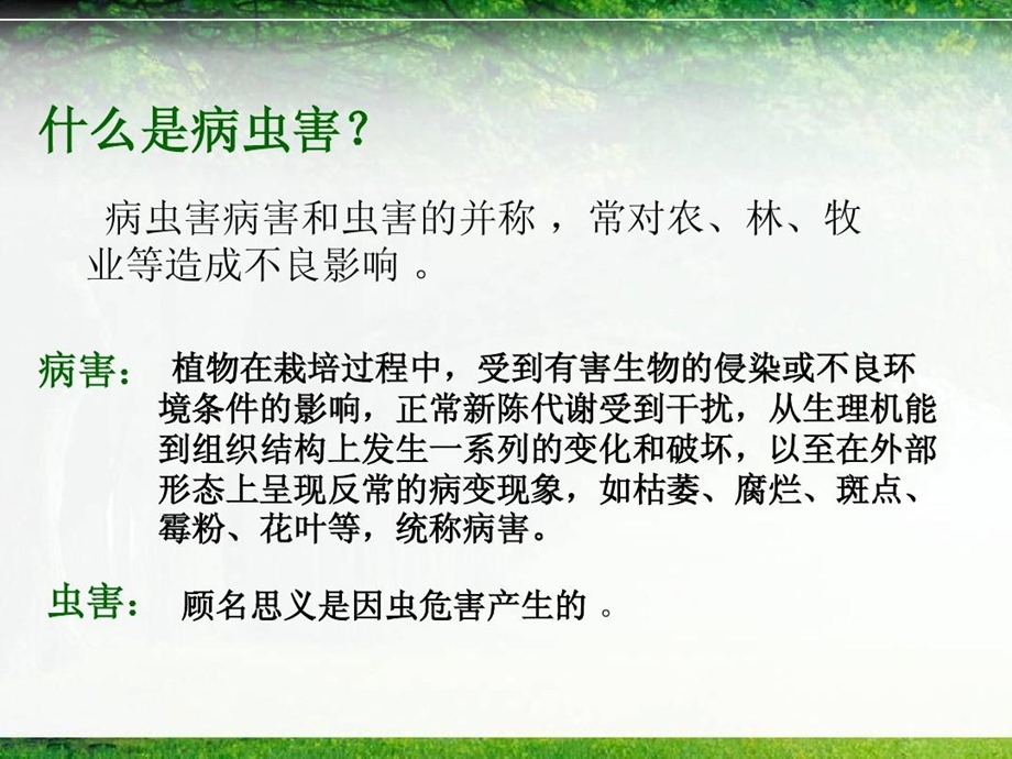 园林树木病虫害防治课件.ppt_第3页