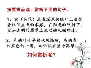 初中中考语文语句赏析专题讲解课件.ppt