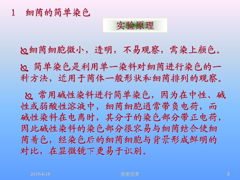 实验细菌的染色课件.ppt_第3页