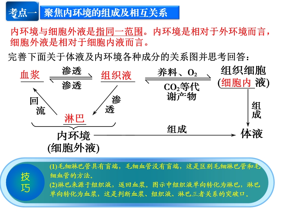 内环境与稳态一轮复习课件.ppt_第2页