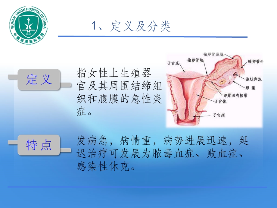 急性盆腔炎课件.ppt_第3页