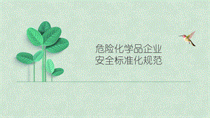 危险化学品企业安全标准化规范课件.pptx