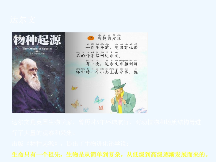 地球与生命的进化最终版课件.ppt_第2页