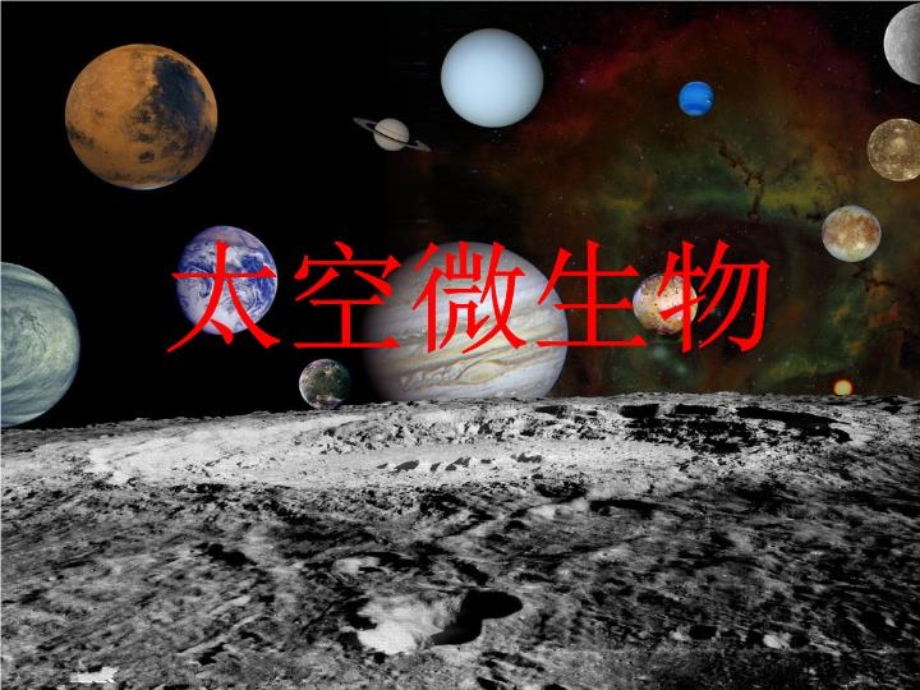 太空微生物（精选）PPT文档课件.ppt_第2页