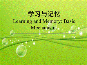 学习与记忆（神经生物学）课件.ppt