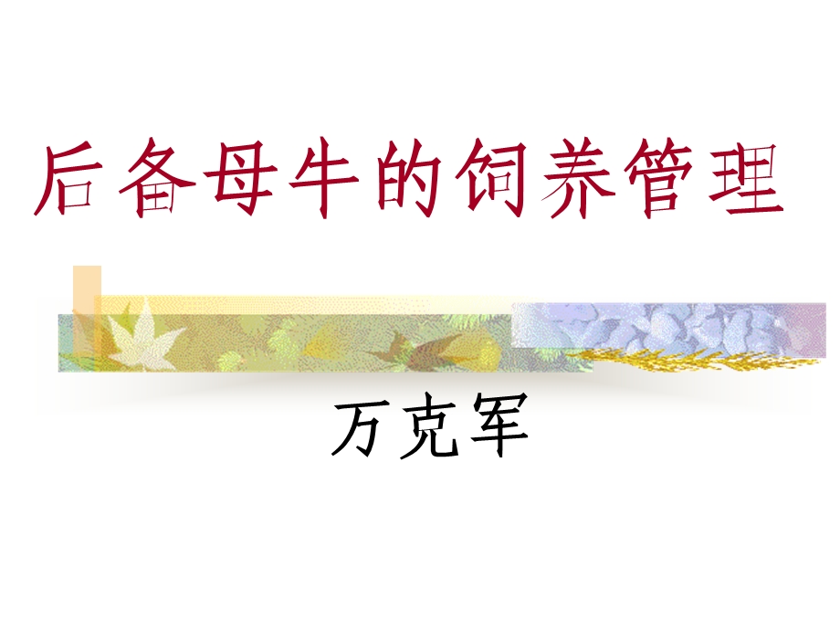 后备母牛的饲养管理appt课件.ppt_第1页