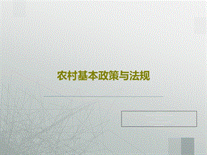农村基本政策与法规课件.ppt