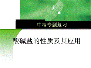 初三化学《酸碱盐复习》公开课课件.ppt