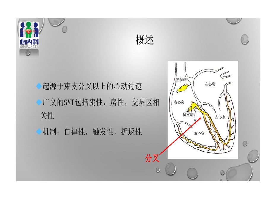 室上性心动过速诊断与治疗课件.ppt_第2页