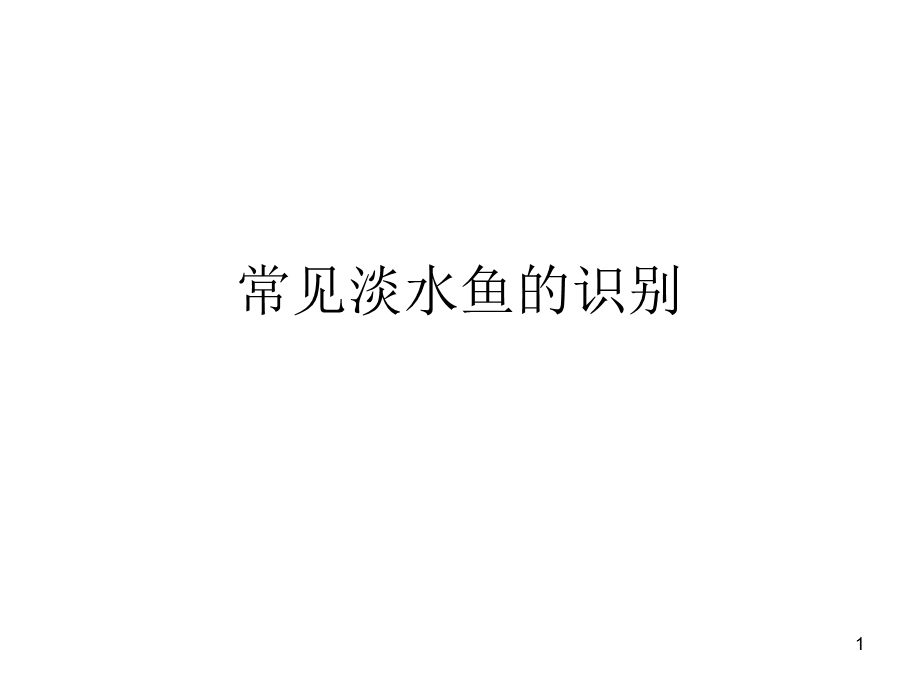 常见淡水鱼课件.ppt_第1页