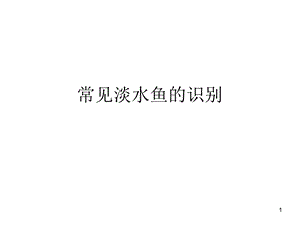 常见淡水鱼课件.ppt