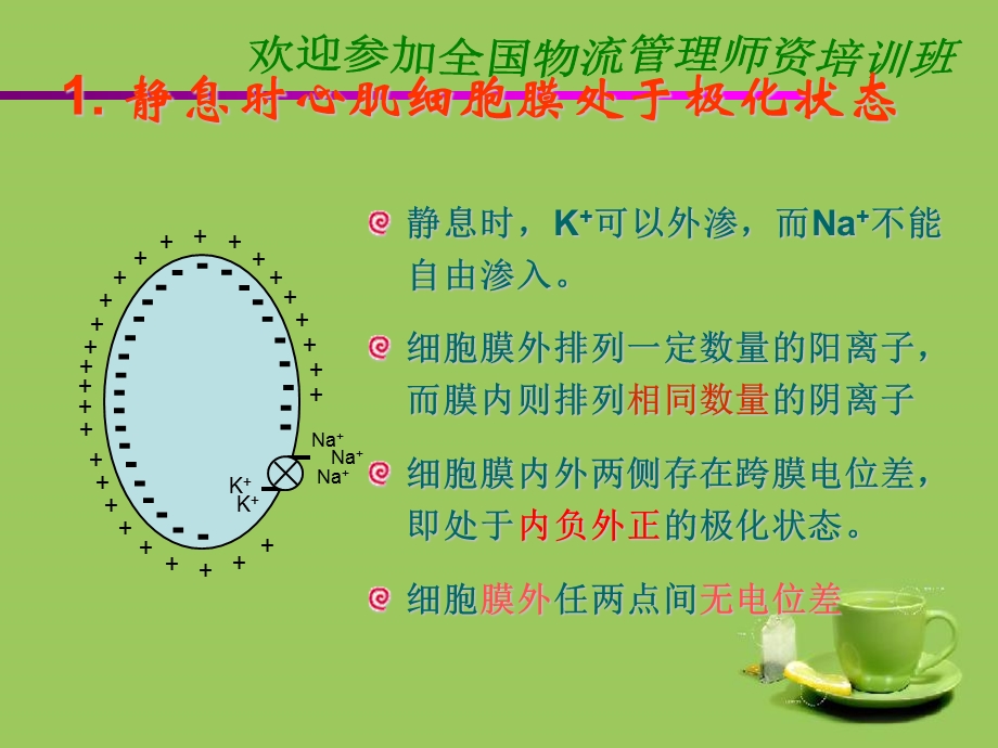 心电图的原理分析课件.ppt_第3页