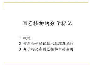 分子标记课件.ppt