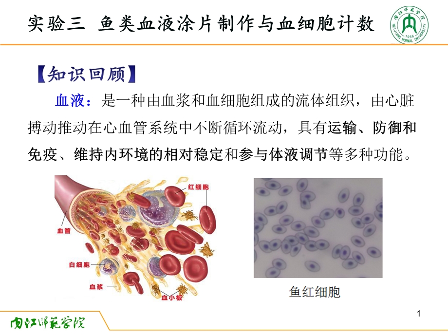 动物生理学实验三鱼类血液涂片制作与血细胞计数课件.ppt_第1页