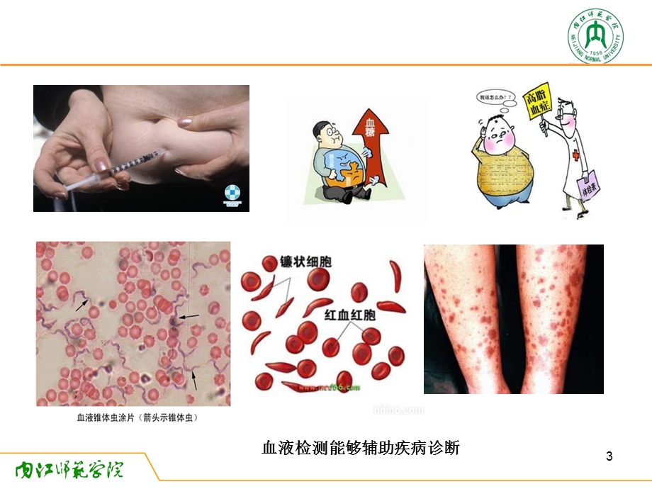 动物生理学实验三鱼类血液涂片制作与血细胞计数课件.ppt_第3页