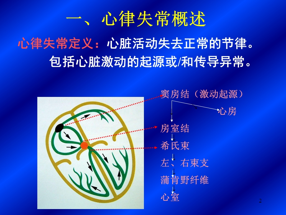 心律失常的诊治课件.ppt_第2页