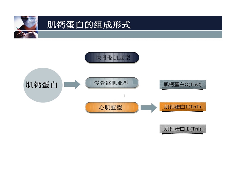 心肌肌钙蛋白升高在临床中课件.ppt_第2页